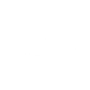 AgiX, an OK200 software development client