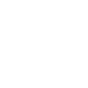 Paper Plane, an OK200 software development client