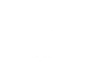 Travy, an OK200 software development client